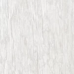 Texture White Wood